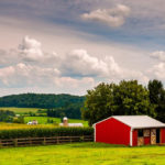 Your Agricultural Business Needs Eco-Friendly Farm Ideas