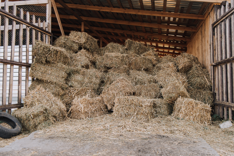 5 Tips For Storing Hay In The Winter