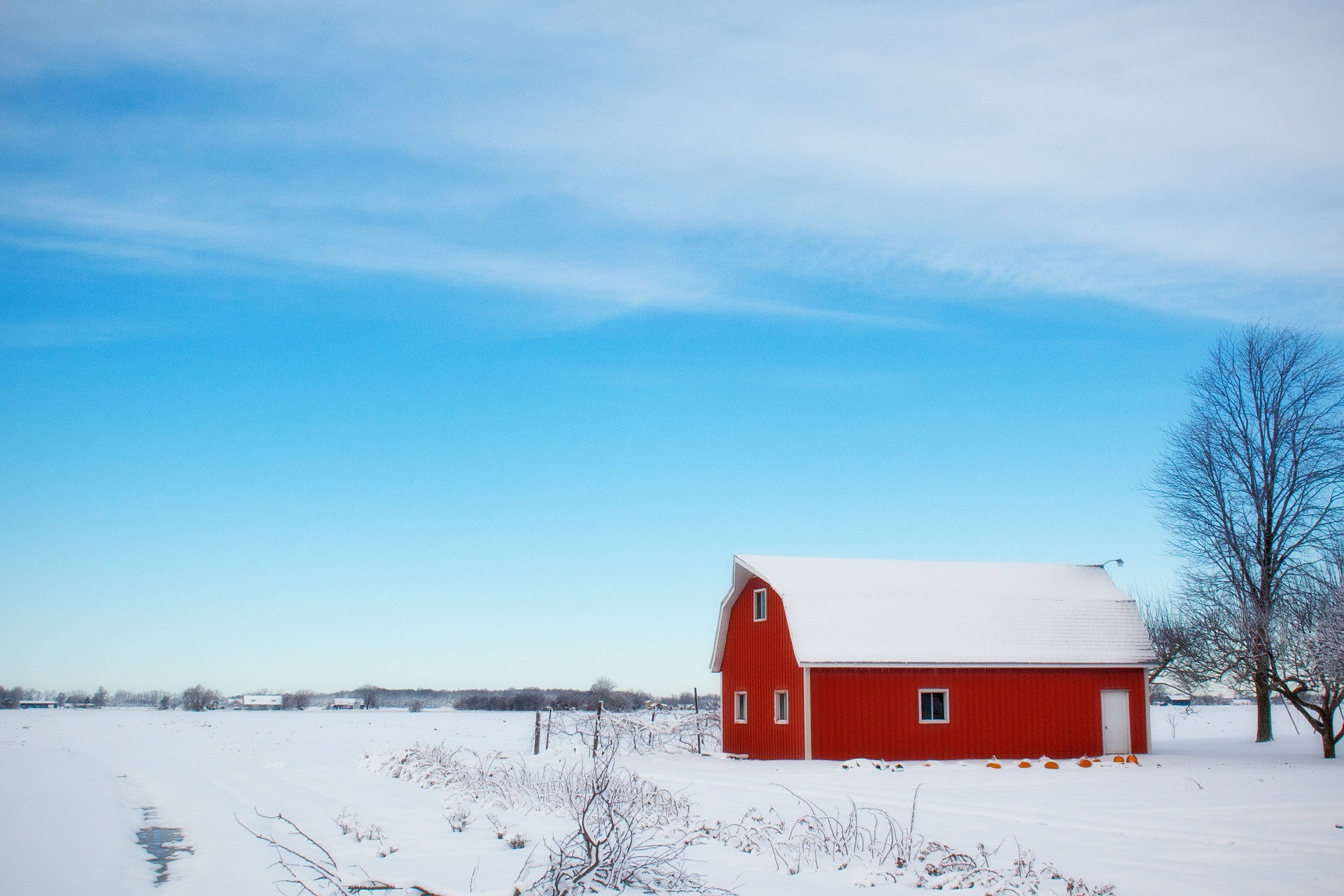 Tips For Staying Safe In The Winter While Farming