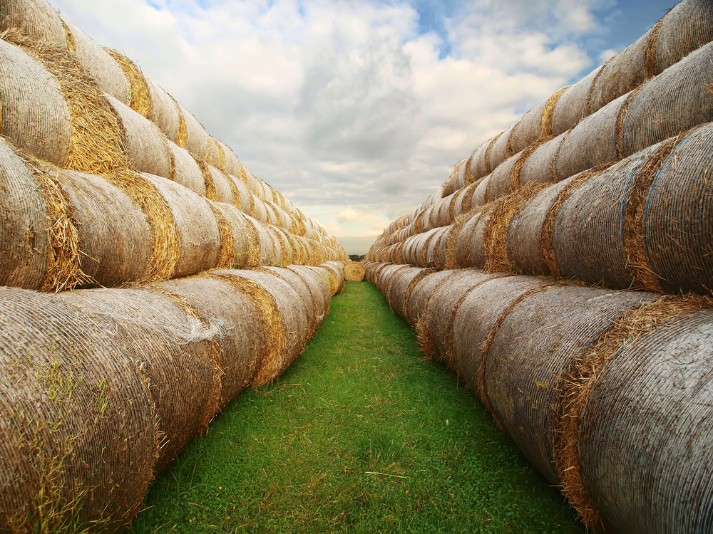 What Is A Silage Wrap?