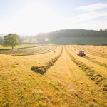Top Tips For Storing Hay Through The Winter Months