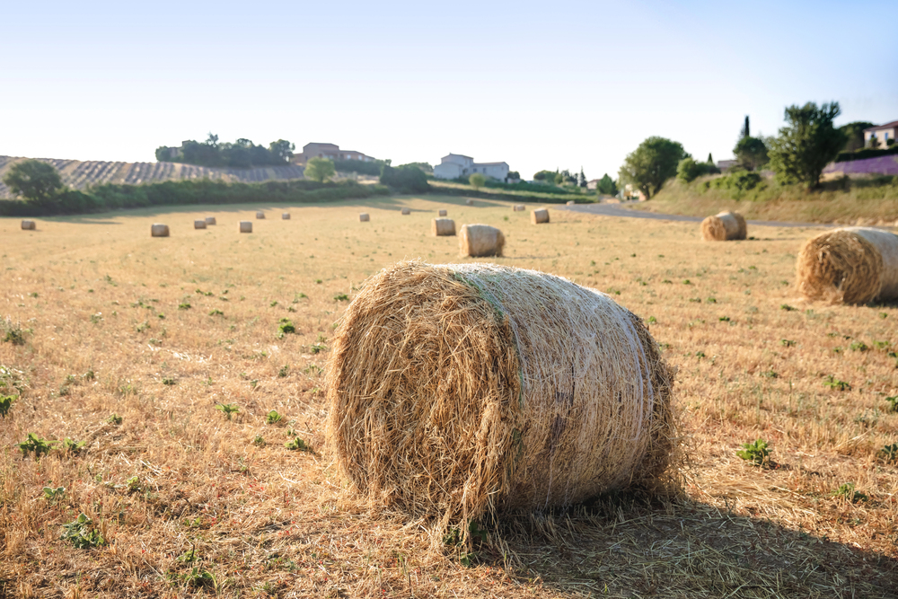 What Is The Best Way to Store Hay? - Western Packaging