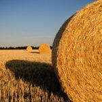 Why Hay Bags Are Best For Storing Your Hay